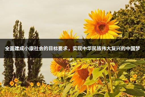 全面建成小康社会的目标要求，实现中华民族伟大复兴的中国梦-1
