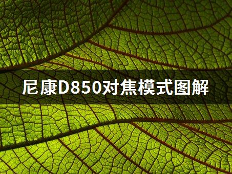 尼康D850对焦模式图解-1